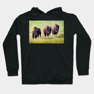 Three Bison Hoodie